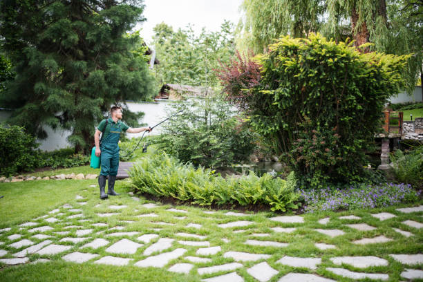 Best Best Pest Control Companies  in Lake Carmel, NY