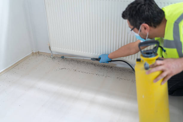 Pest Control for Restaurants in Lake Carmel, NY